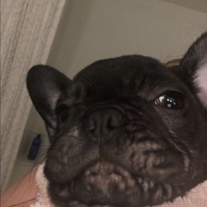 Meet your Posher, Demi